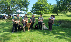 Sherborne Retriever Team Challenge